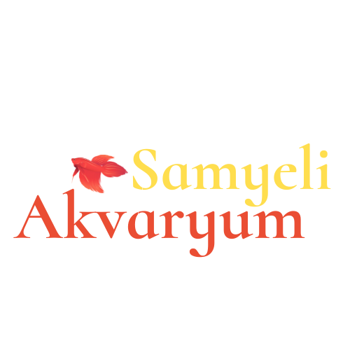 samyeli akvaryum