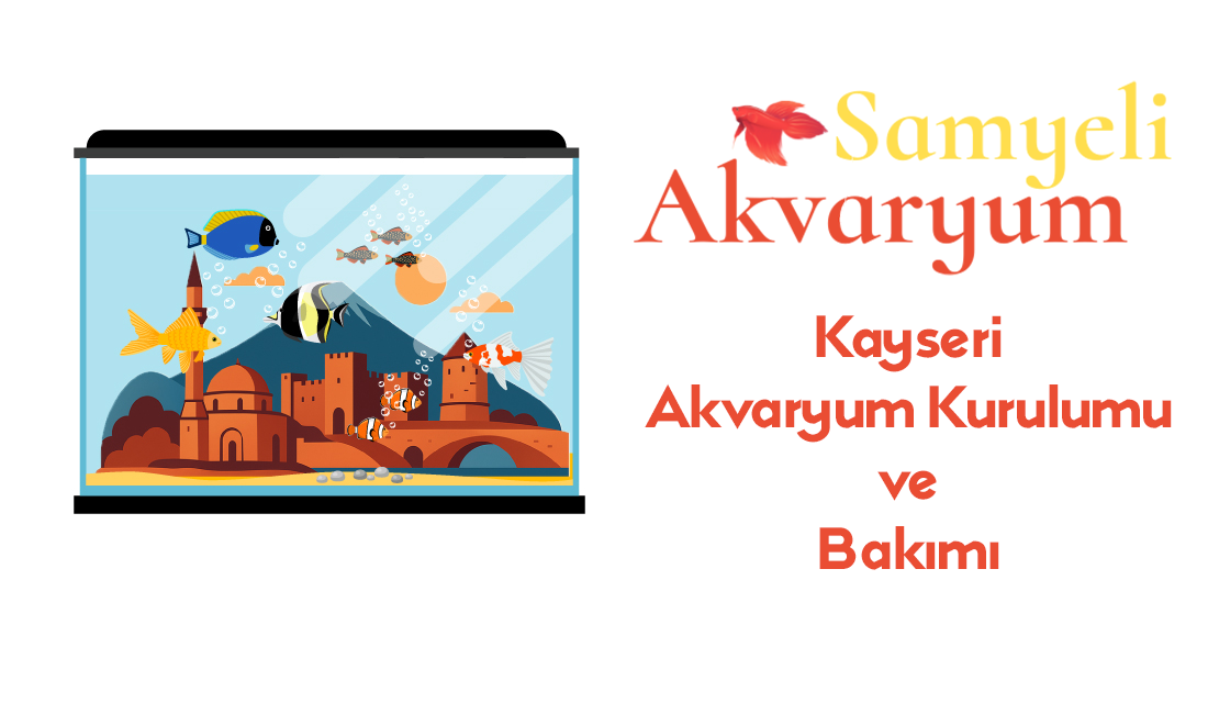 Kayseri İli Yeşilhisar İlçesi Yuva Mahallesi Akvaryum Kurulumu ve Bakımı – Samyeli Akvaryum